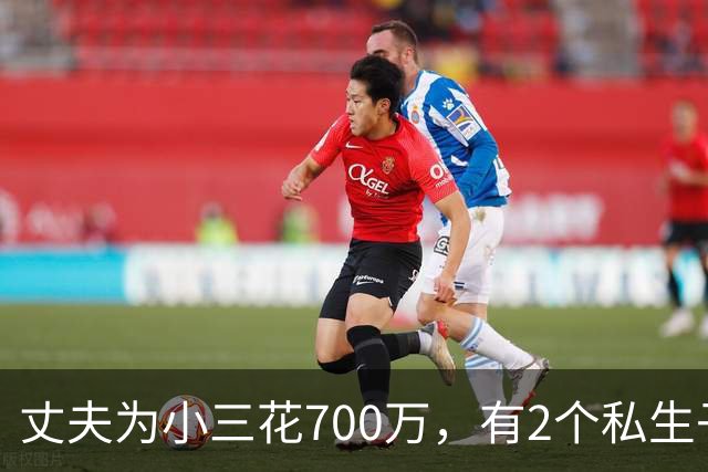 丈夫为小三花700万，有2个私生子后续：小三身材很好，人特漂亮