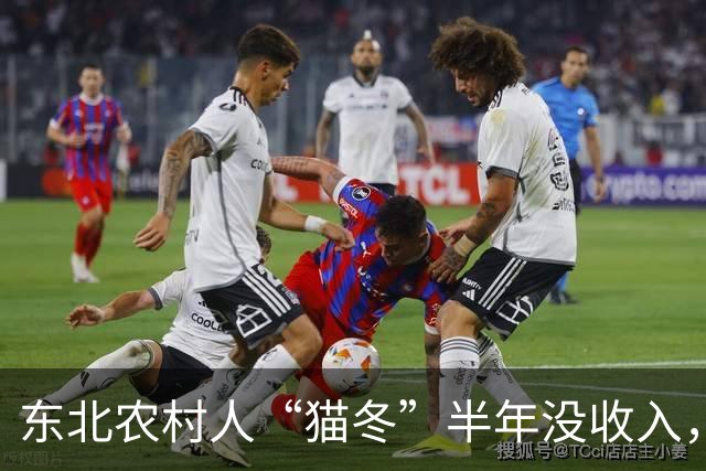 东北农村人“猫冬”半年没收入，一大家子人怎么撑下来的？