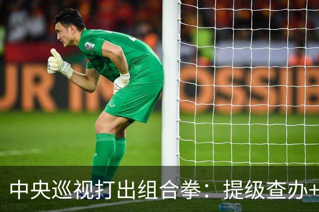 中央巡视打出组合拳：提级查办+深挖保护伞，查到线索再也瞒不住