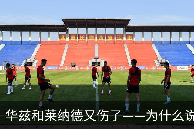 华兹和莱纳德又伤了——为什么说又？