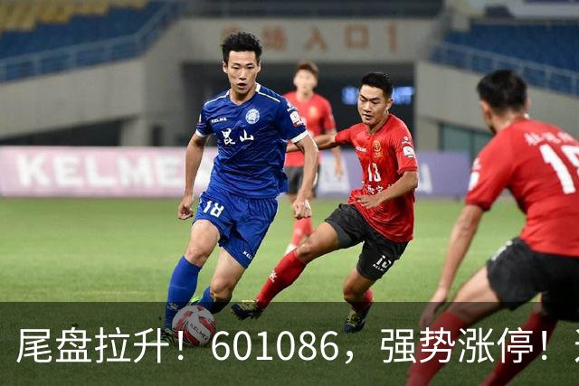 尾盘拉升！601086，强势涨停！这一板块逆市爆发