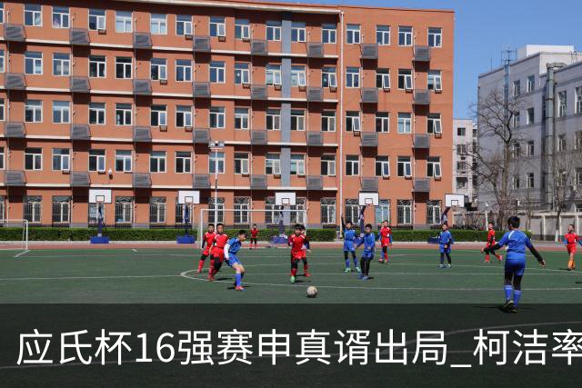 应氏杯16强赛申真谞出局 柯洁率中国队迎大捷
