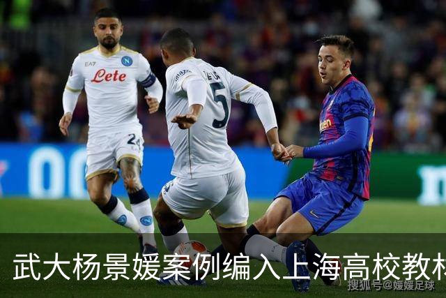 武大杨景媛案例编入上海高校教材持续发酵！三名主编任职信息被扒，均供职于二三本院校信息