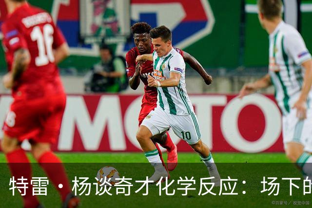 特雷·杨谈奇才化学反应：场下的凝聚力需转化为场上稳定发挥