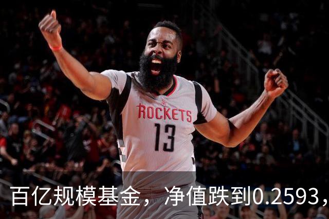 百亿规模基金，净值跌到0.2593，暴跌74%，亏得基民都不敢看账户