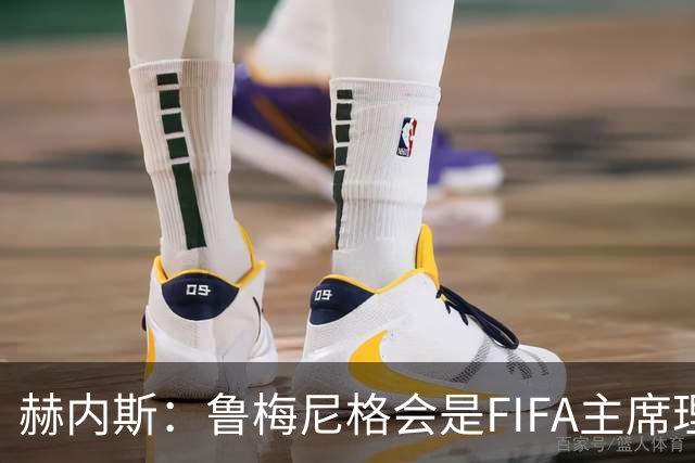 赫内斯：鲁梅尼格会是FIFA主席理想人选，他在国际上备受尊重